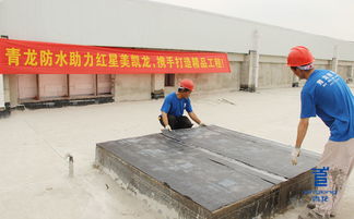 青龙防水 深耕防水行业20年,匠心打造防水品牌