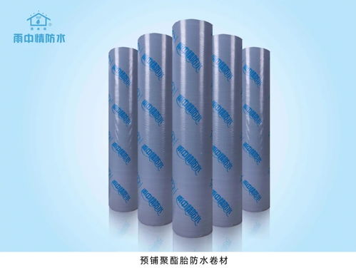 专业化赢口碑——雨中情防水助力陕西省重点工程防水保温工程